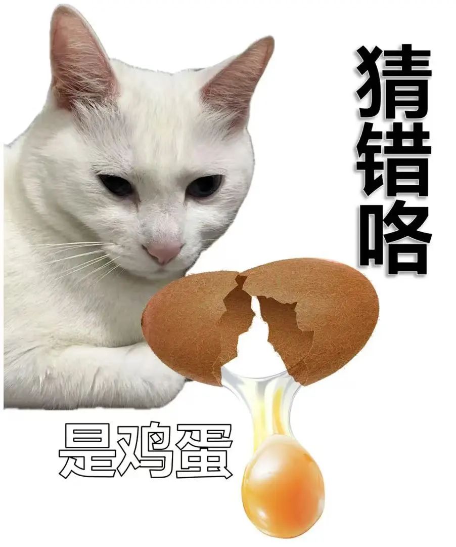 468b40f418c44ee64e8d812b452d1db.jpg