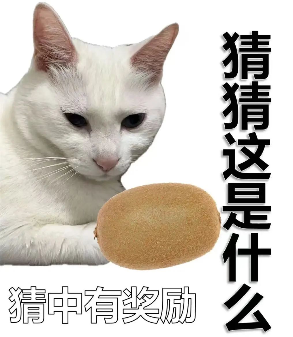 2f56a9f95801bf854c492ef4b9a6732.jpg