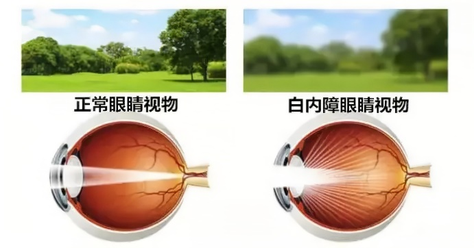 2b3d7a1f1bb77f06ac9b86a157fbae80.png