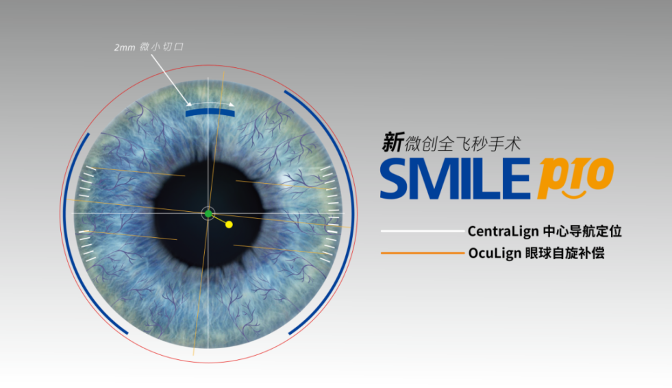 双系统.png