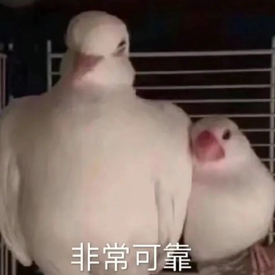 表情包1.png
