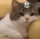 表情包.png